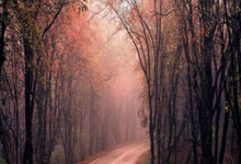 5款微信小游戏推荐