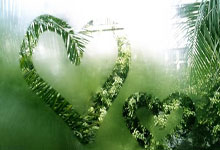 什么是虚拟资源？虚拟资源项目怎么做能赚钱？