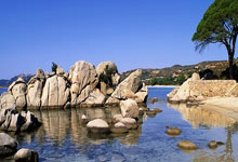 什么是虚拟资源?虚拟资源项目怎么做能赚钱?